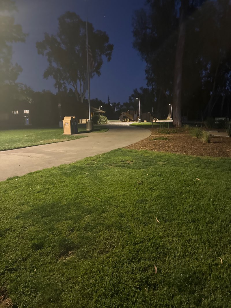 walking near me in Fisher Park in spring