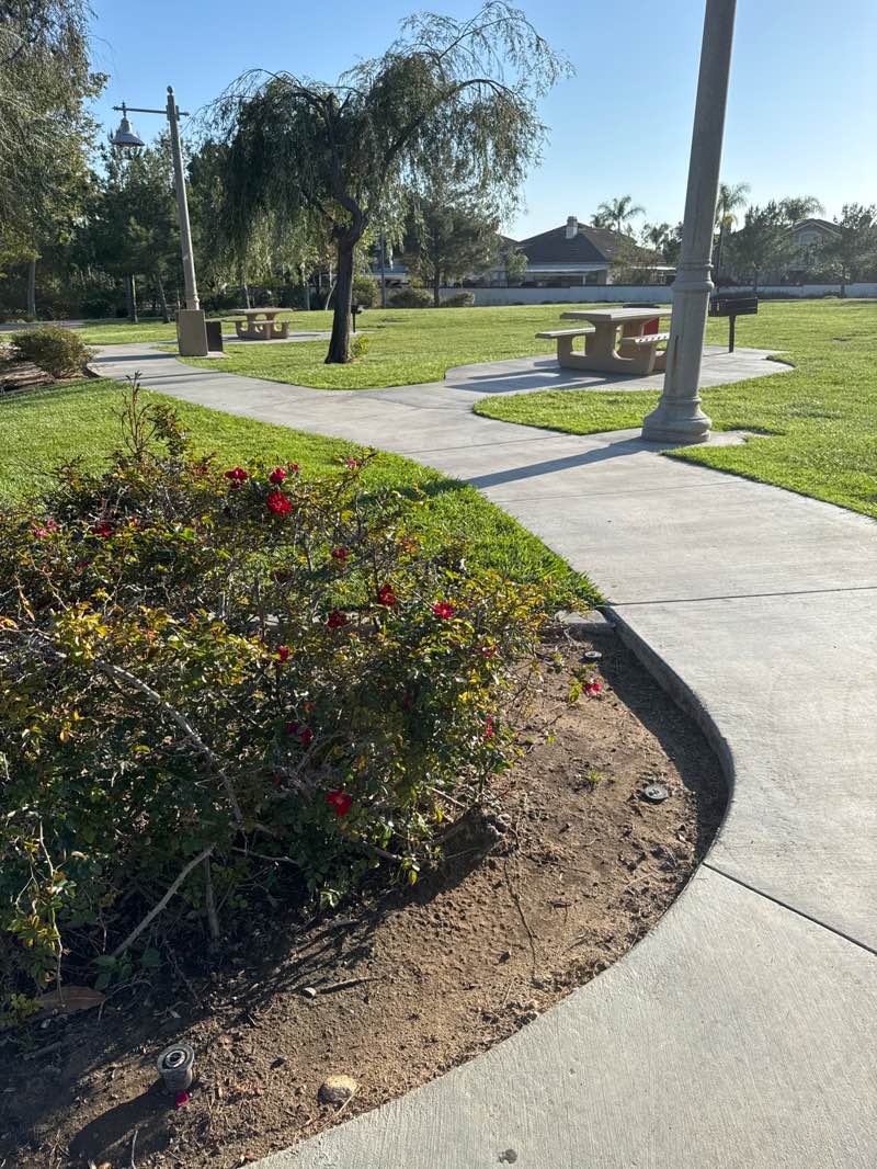walking near me in Citrus Ranch Park in spring