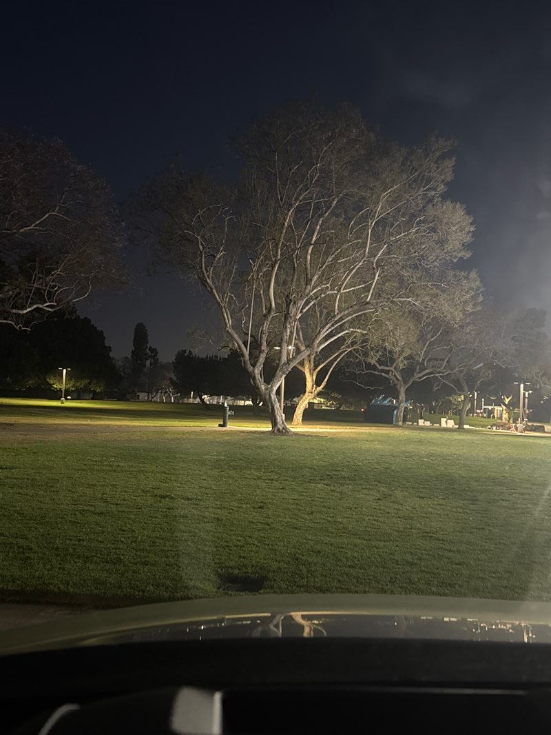 walking near me in Portola Park in spring