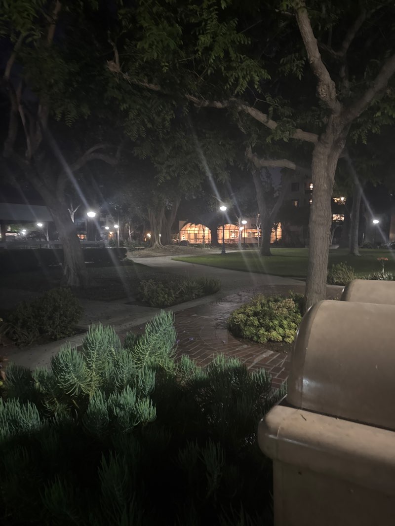 walking near me in Birch Park in spring