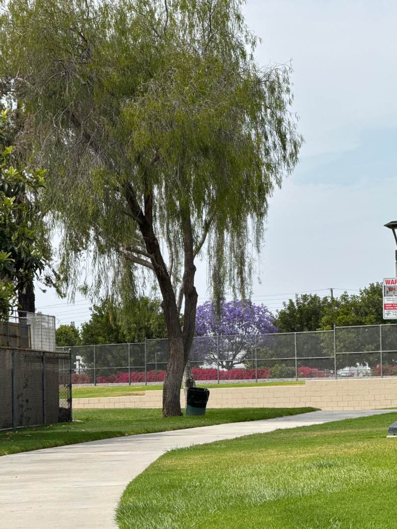 walking near me in Hansen Park in spring