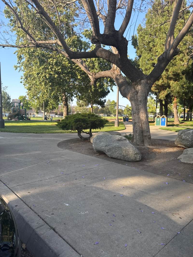 walking near me in Morrison Park in spring