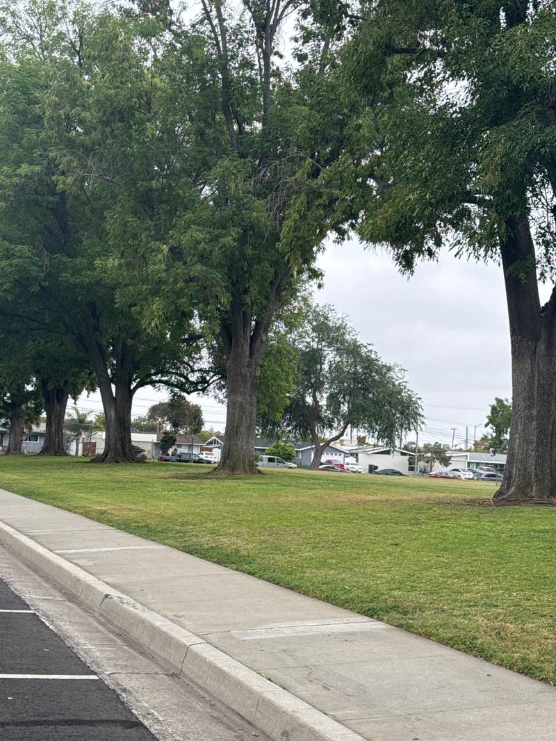 walking near me in Chapman Park in spring