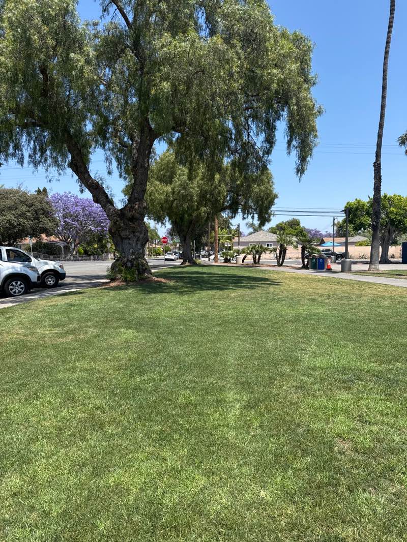 walking near me in Memorial Park in summer