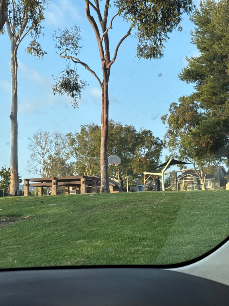 walking near me in Camino Real Park in summer