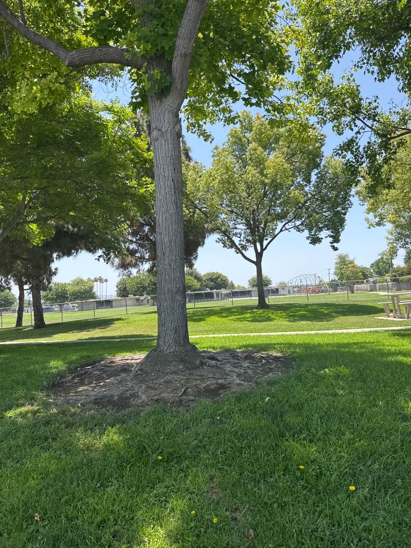 walking near me in Wagner Park in summer