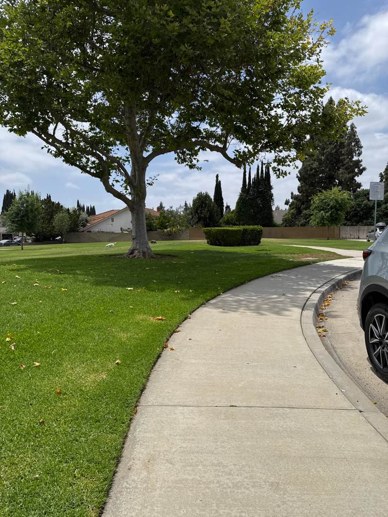 walking near me in Richard Samp Park in summer