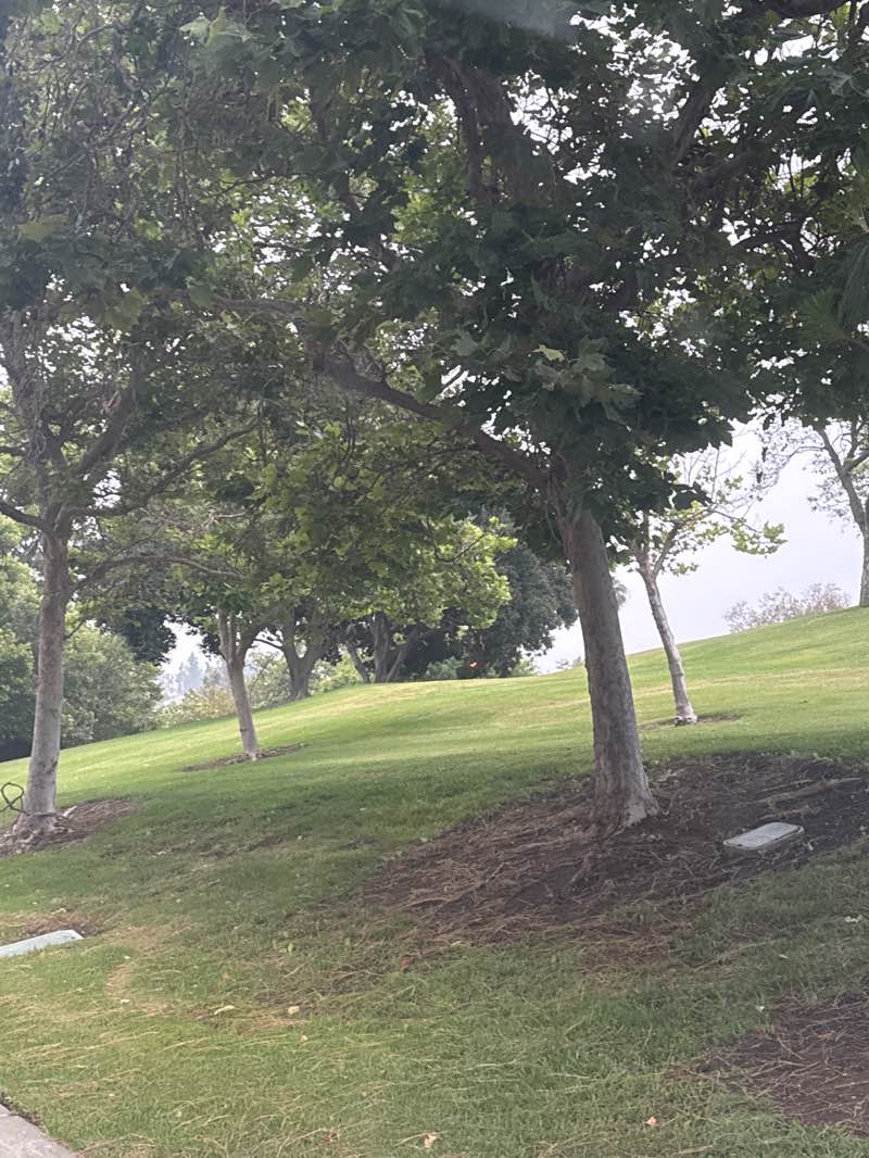 walking near me in Country Crossing Park in summer