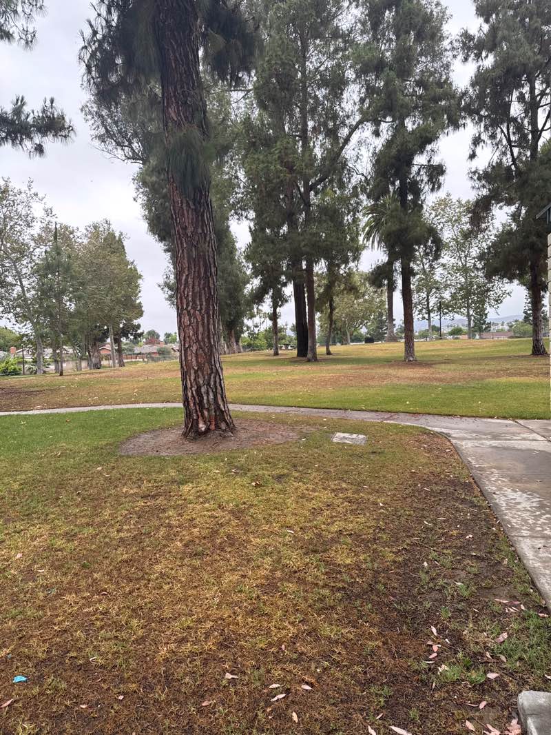 walking near me in Parque De Los Vaqueros in autumn