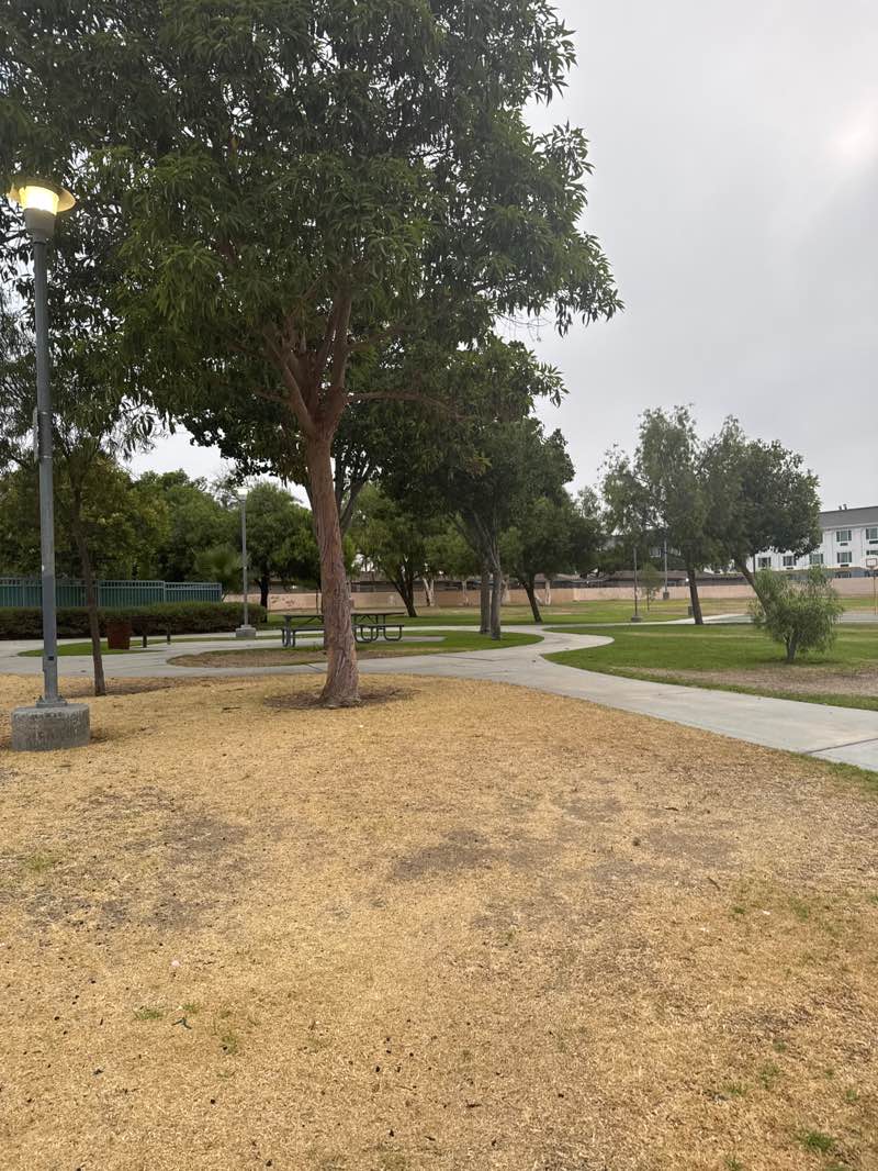 walking near me in Mcfadden Park in autumn