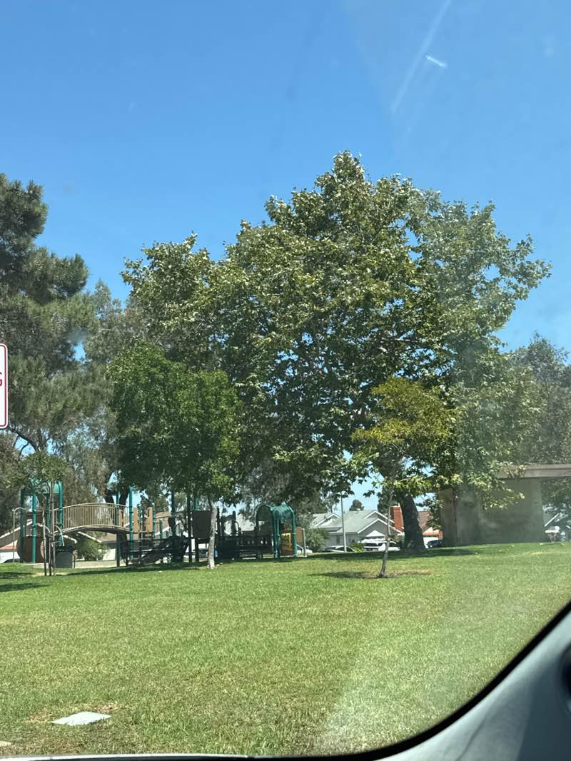 walking near me in Del Mesa Park in autumn