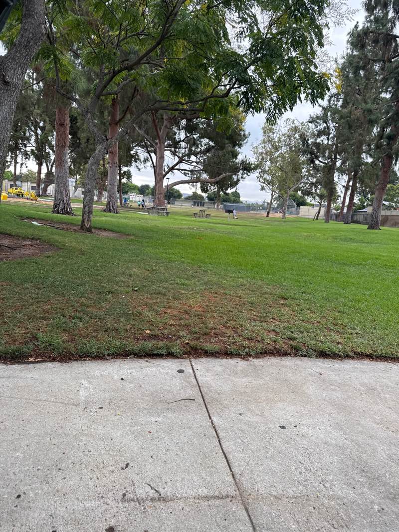 walking near me in George J Koch Park in autumn