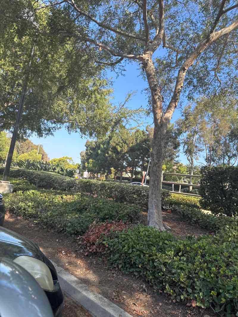 walking near me in Hicks Canyon Community Park in autumn
