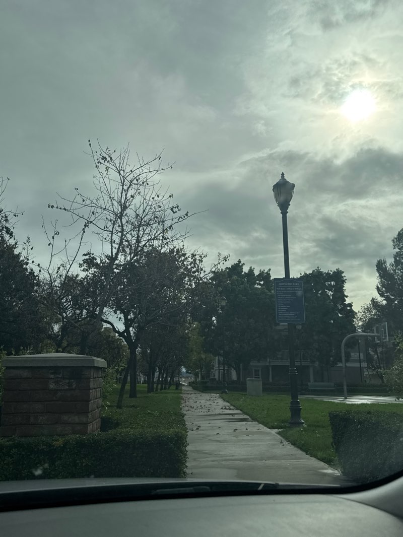 walking near me in Arlington Park in winter