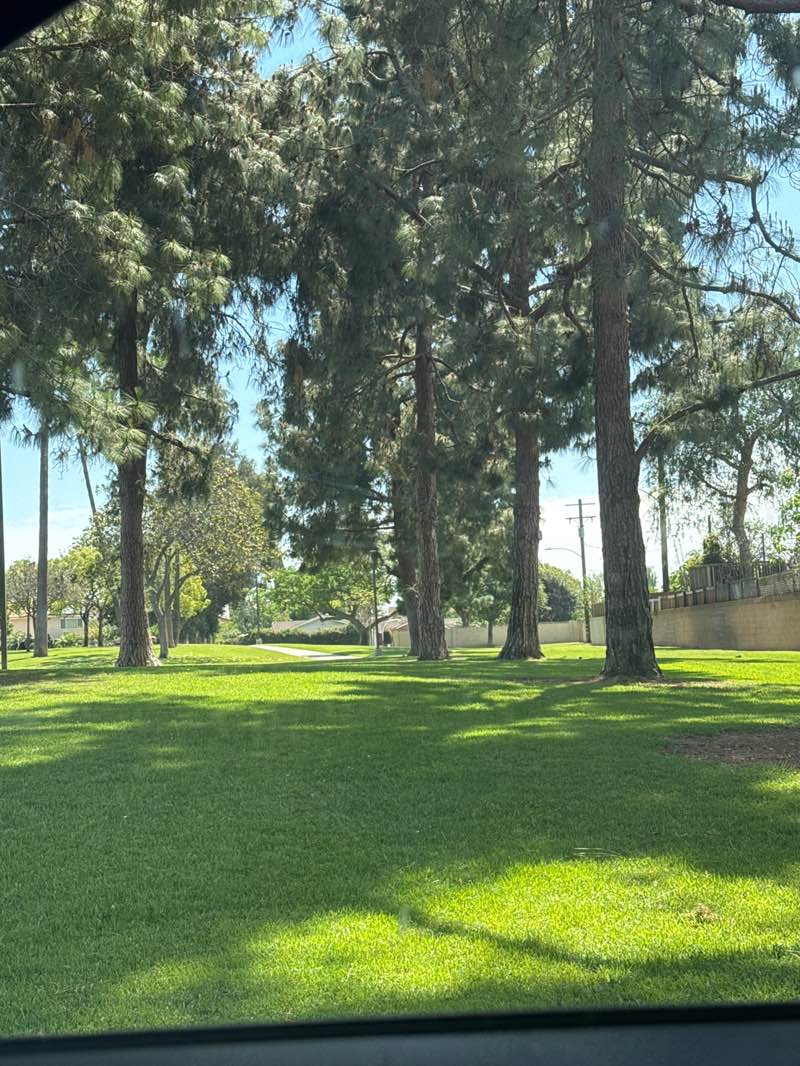 walking near me in Stoddard Park in spring