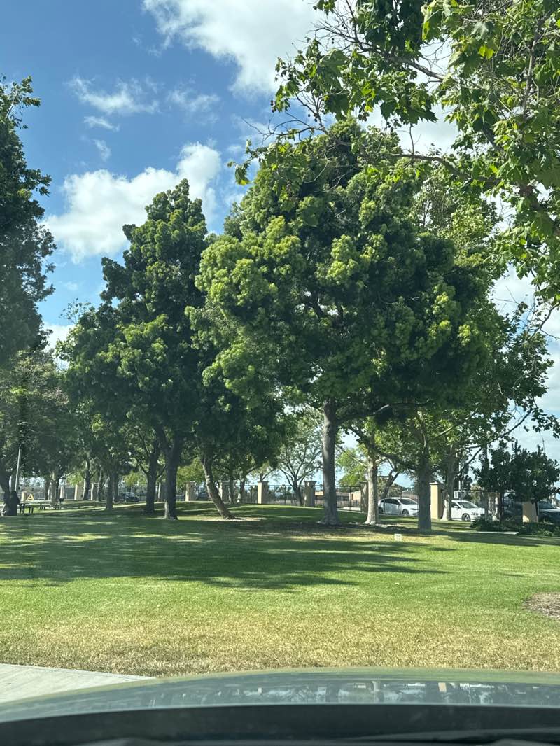 walking near me in Ross Park in spring