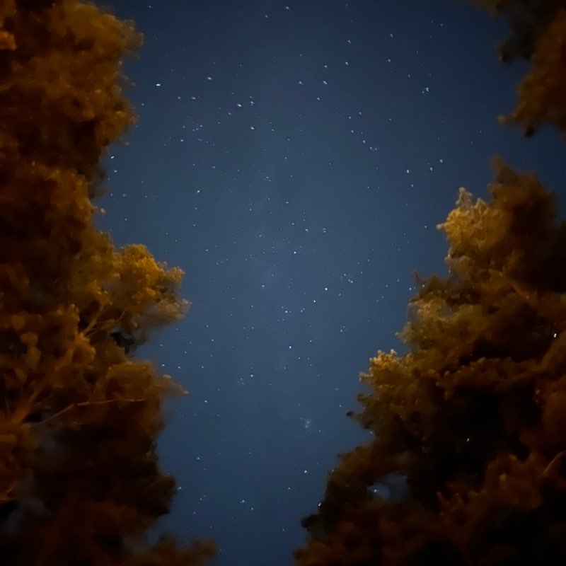 Татьяна post 1