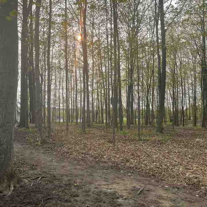 Dext Canada Steppers Fatima post image