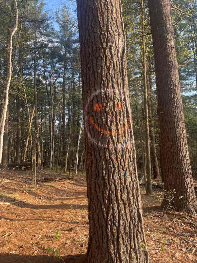 walking near me in Ross Flood Control Site in winter