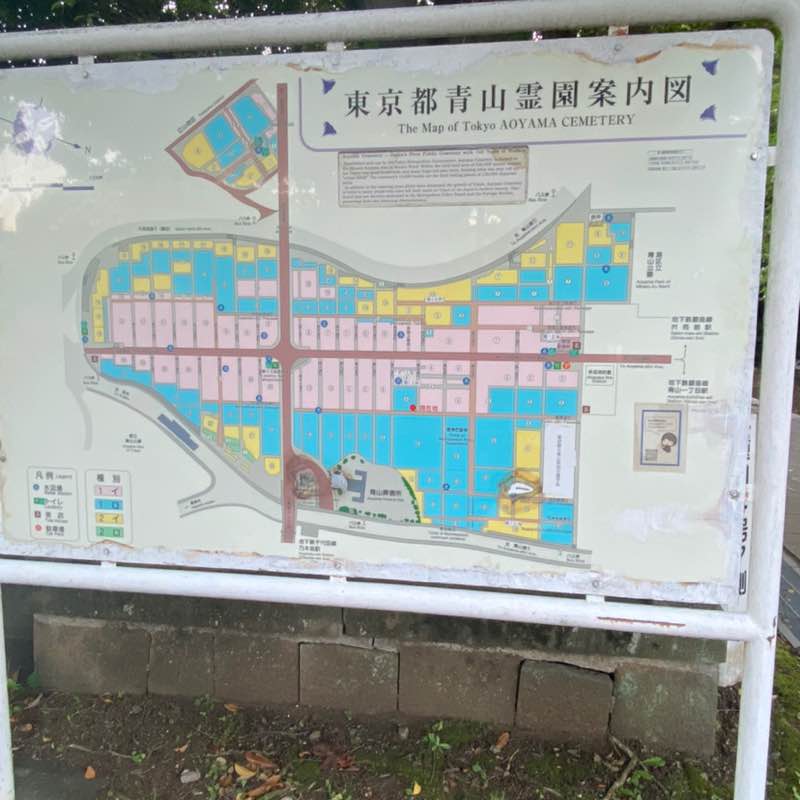 SMCJ 2024 A noriko kazama post image