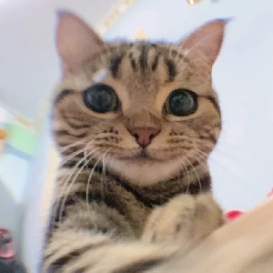 megumi.kubota profile