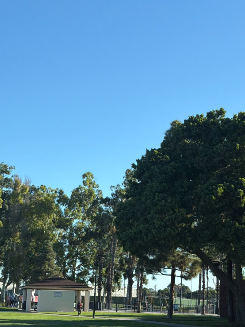 walking near me in Palm Park in autumn