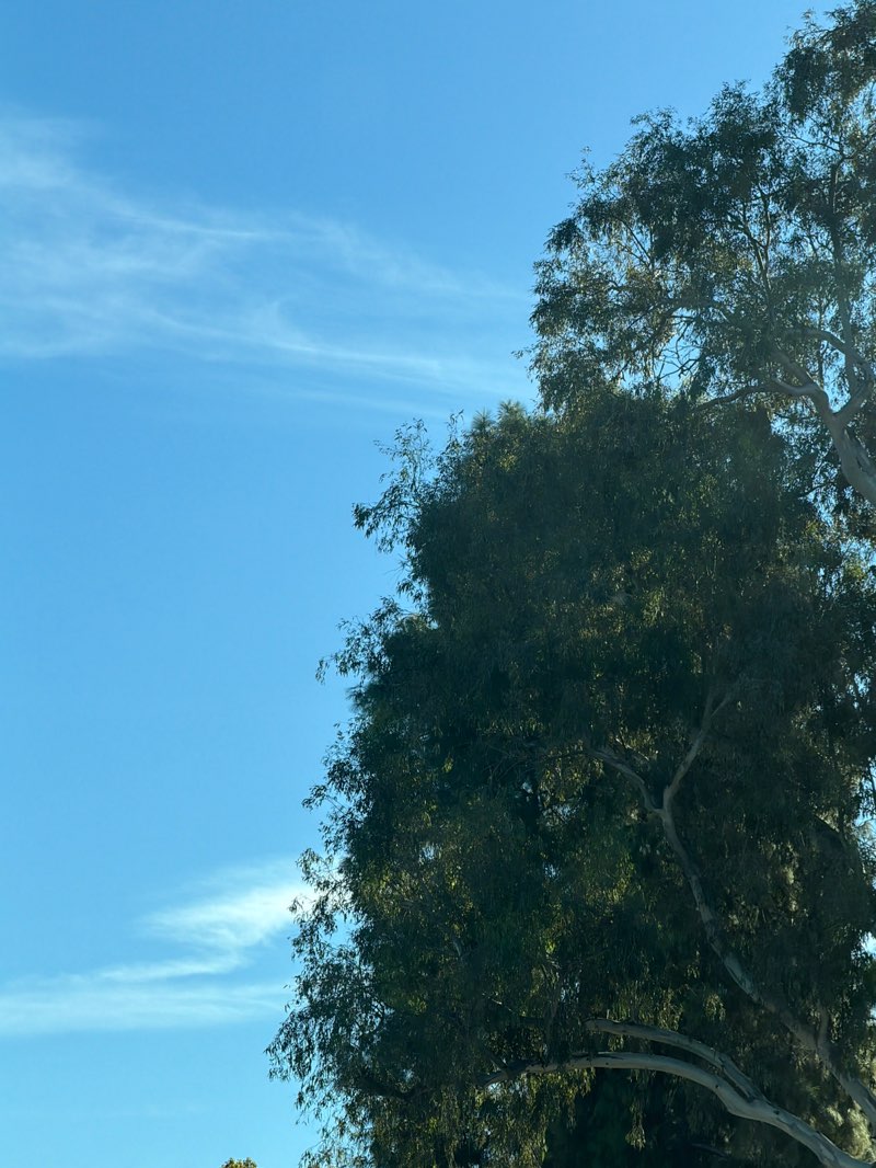 walking near me in Bloomfield Park in winter