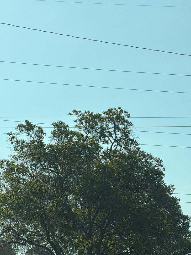 walking near me in Treasure Island Park in spring
