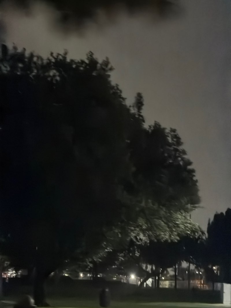 walking near me in Bloomfield Park in summer