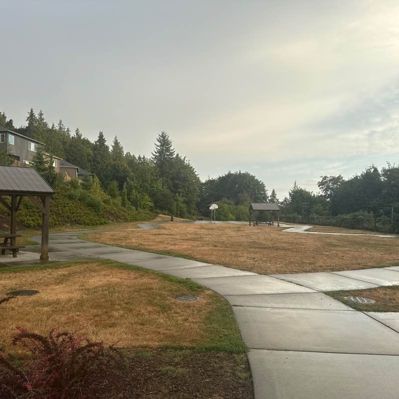 Shailaja Kolanupaka post 1