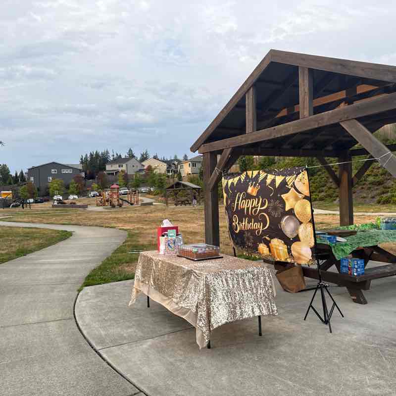 Shailaja Kolanupaka post 1