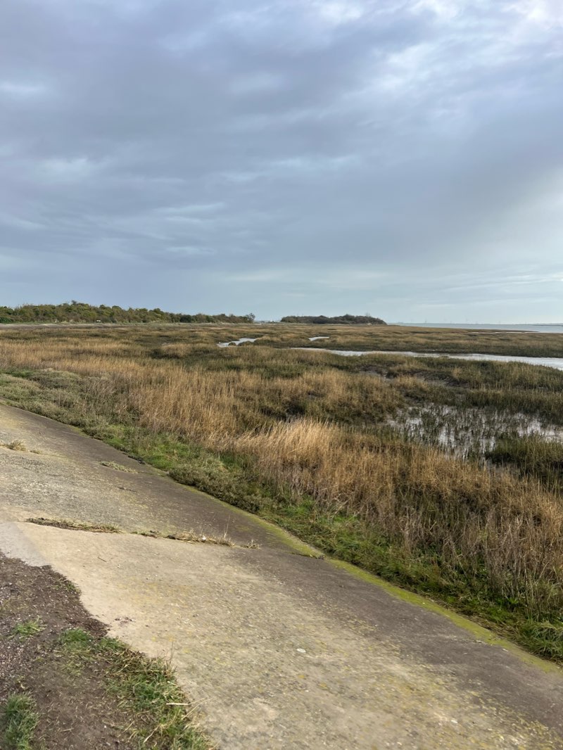 walking near me in Rainham Dock in winter