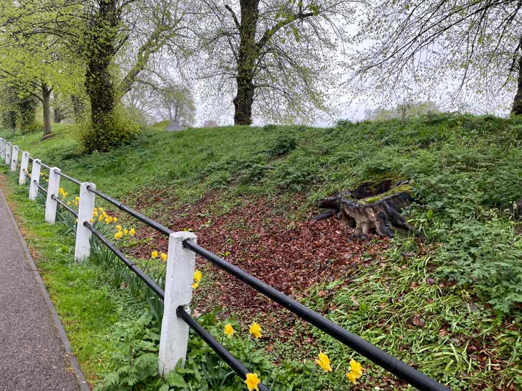 walking near me in Cutts Close Park in spring