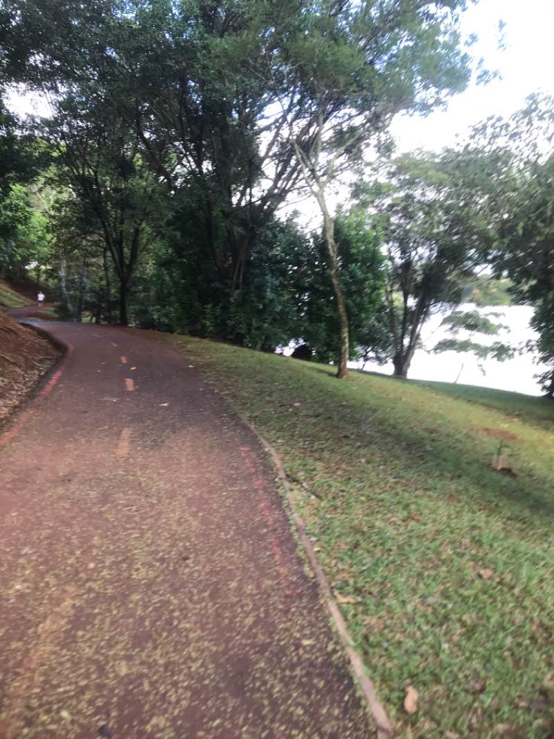 walking near me in Zerão in summer