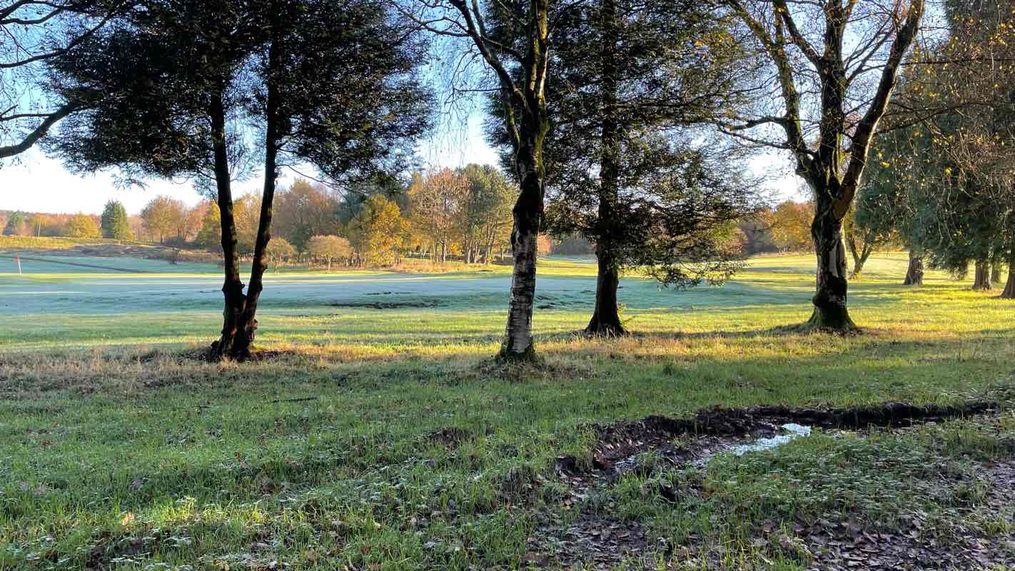 walking near me in Queen's Park in winter