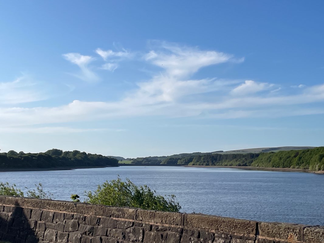 walking near me in King George's Field in winter