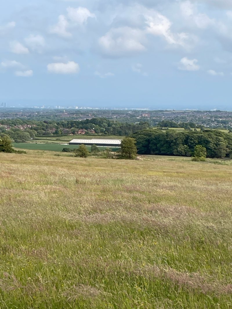 walking near me in Ridgmont Park in summer