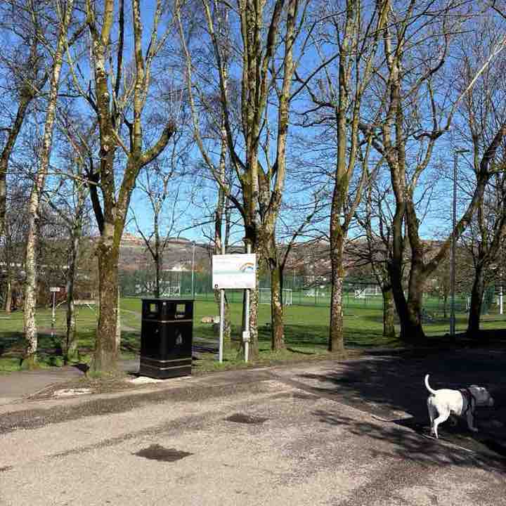 David🏴󠁧󠁢󠁥󠁮󠁧󠁿 B W F C 🇬🇧super white army post 1