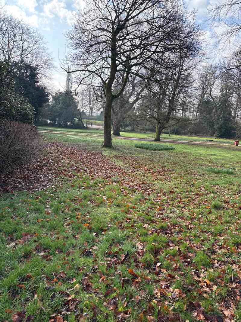 walking near me in Queen's Park in spring