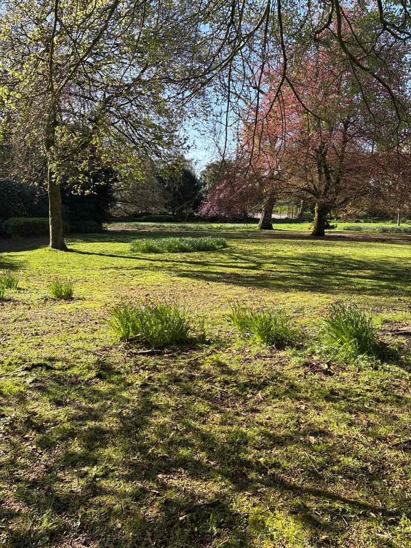walking near me in Queen's Park in spring