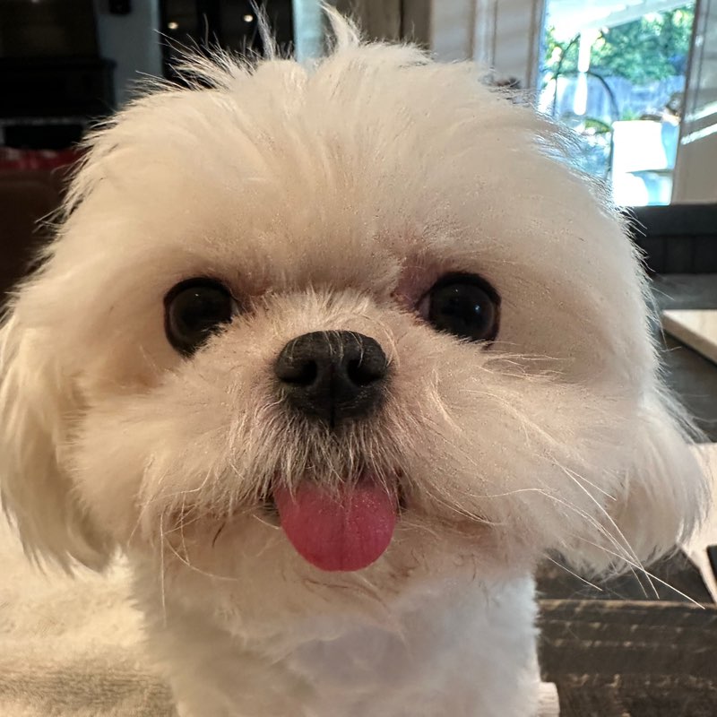 Vivian profile