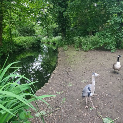Green team Ruby post image