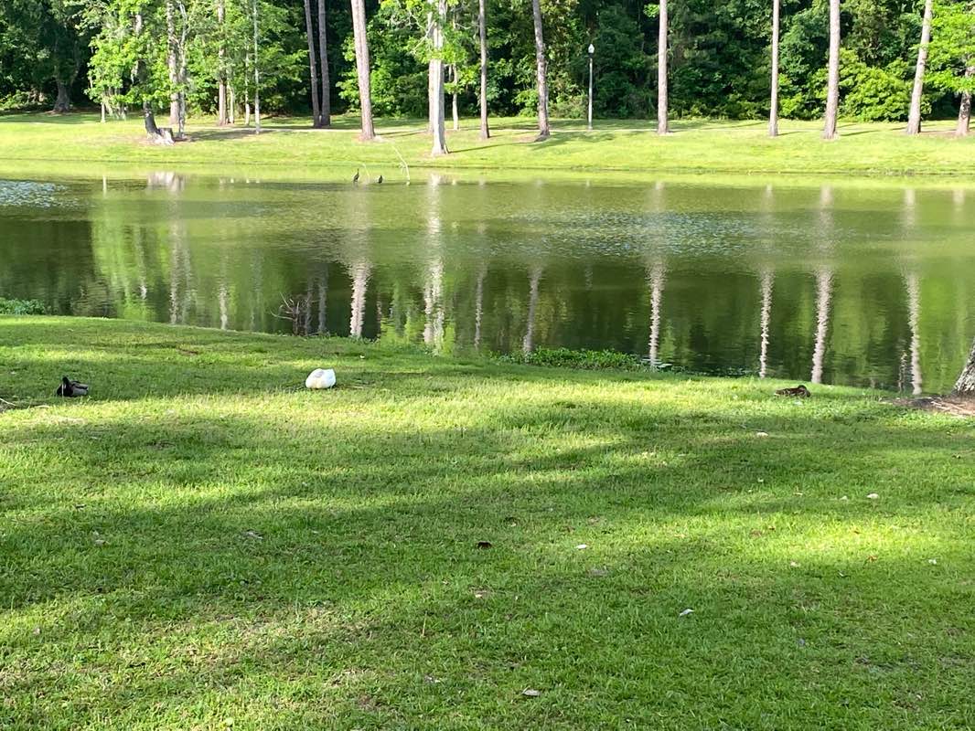 walking near me in Cherokee Lake in winter