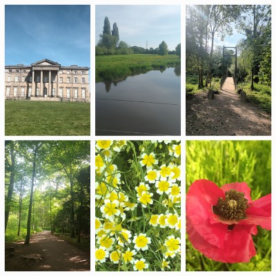 Lyreco UK and Ireland Kimmy post image