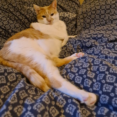 Blue group Marta post image