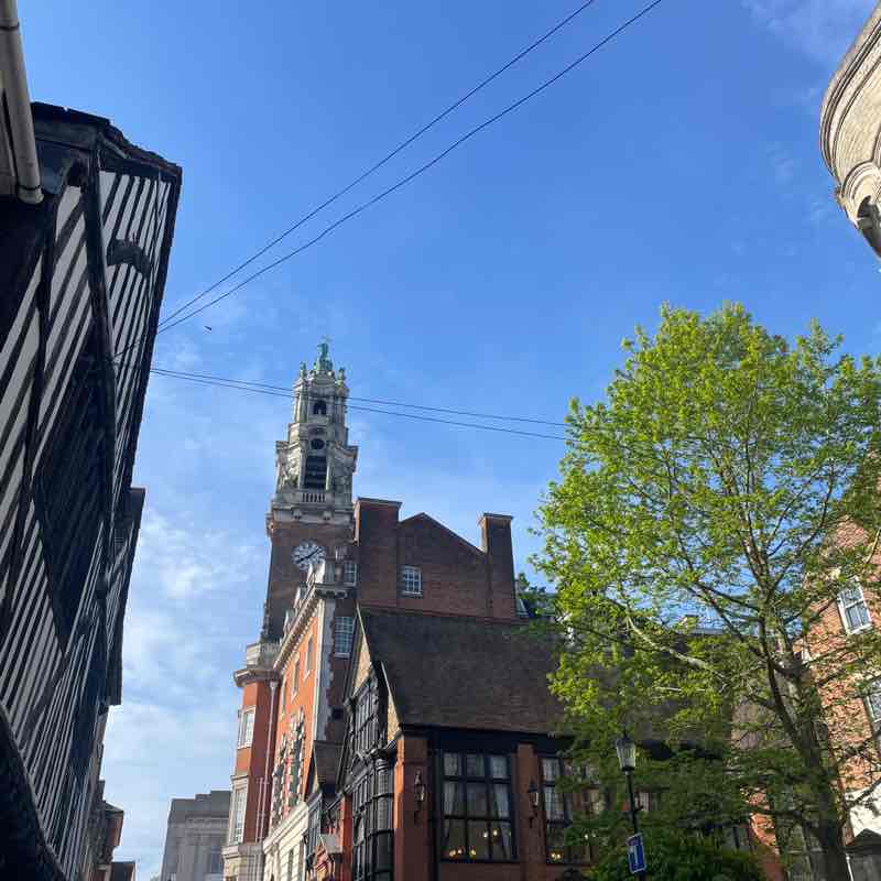 Green team Alison post image