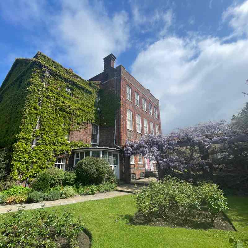 Green team Alison post image