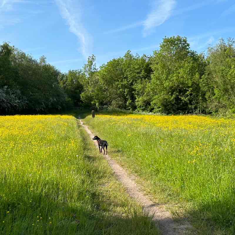 Lyreco UK and Ireland Manel post image