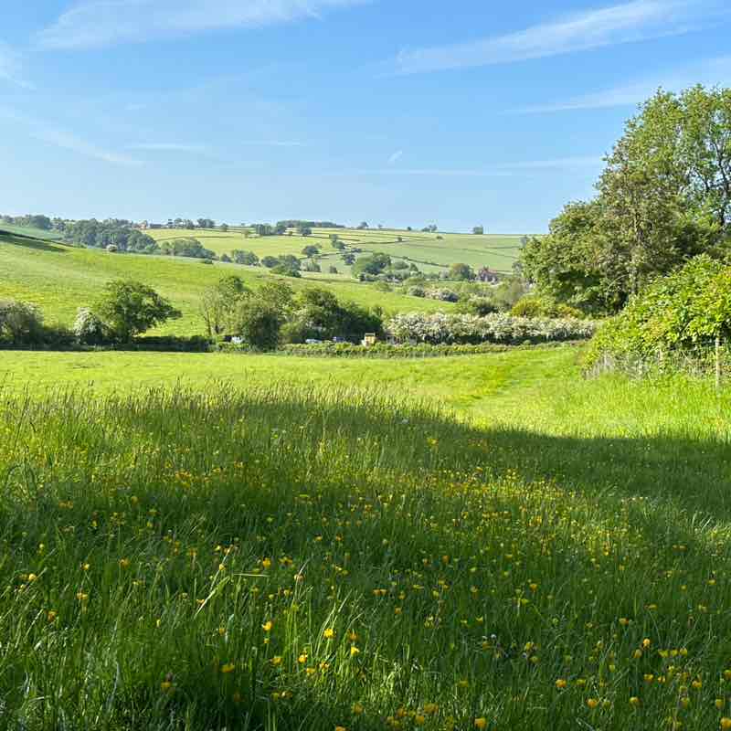 Lyreco UK and Ireland Manel post image