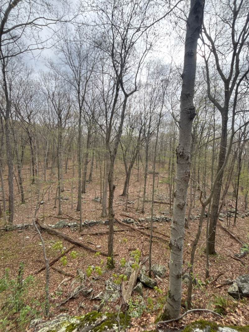 walking near me in Larkin State Park Trail in spring